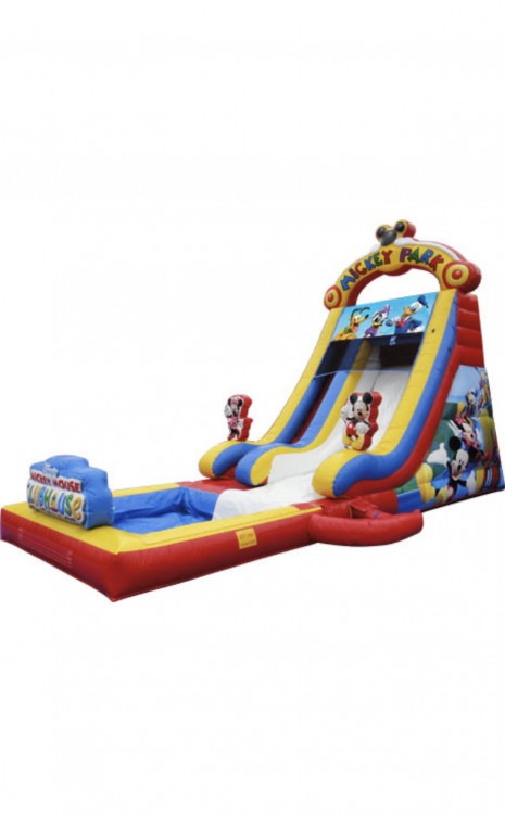 Mickey Water slide